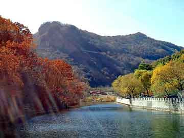 新澳天天开好彩大全，庞家农场